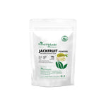 Jackfruit Powder / Raw Green Jackfruit Flour /500grams