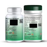 Zenius Fit Up Kit