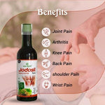 Kaahan Ayurveda Jodosil Syrup - 500ml