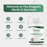 Dr. Satnam’s Arogyam Ayurveda Kapikachhu Capsules (500mg, 60 Capsules) | Pure Mucuna Pruriens Extract for Male Reproductive Vitality, Nerve Health & Dopamine Support