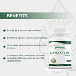 Dr. Satnam’s Arogyam Ayurveda Kapikachhu Capsules (500mg, 60 Capsules) | Pure Mucuna Pruriens Extract for Male Reproductive Vitality, Nerve Health & Dopamine Support