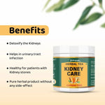 Arogyam Kidney Detox Herbal Tea – Caffeine-Free Herbal Tea for Kidney & Urinary Wellness Support – 100g
