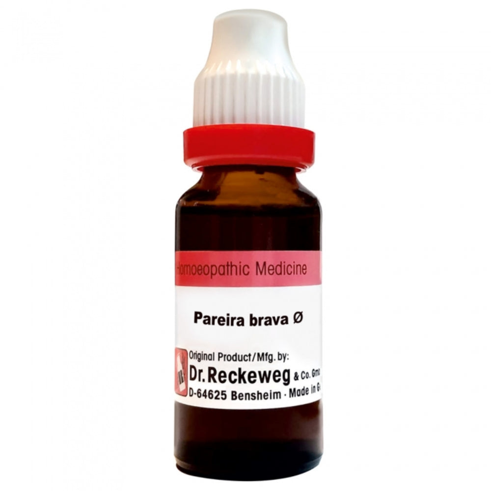Dr Reckeweg Pareira Brava Q (20ml)