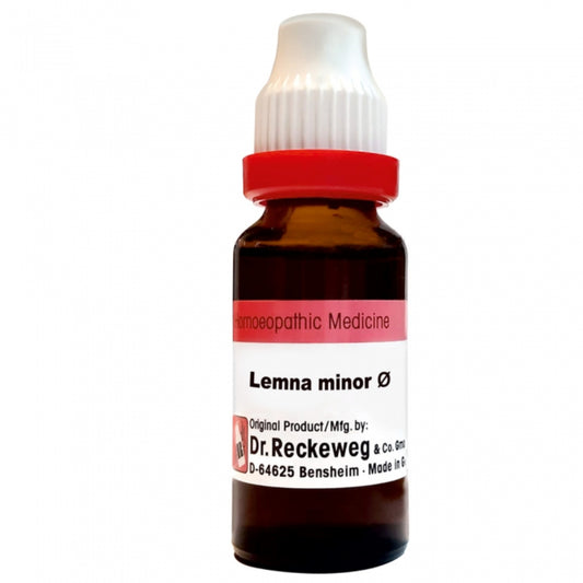 Dr Reckeweg Lemna Minor Q (20ml)