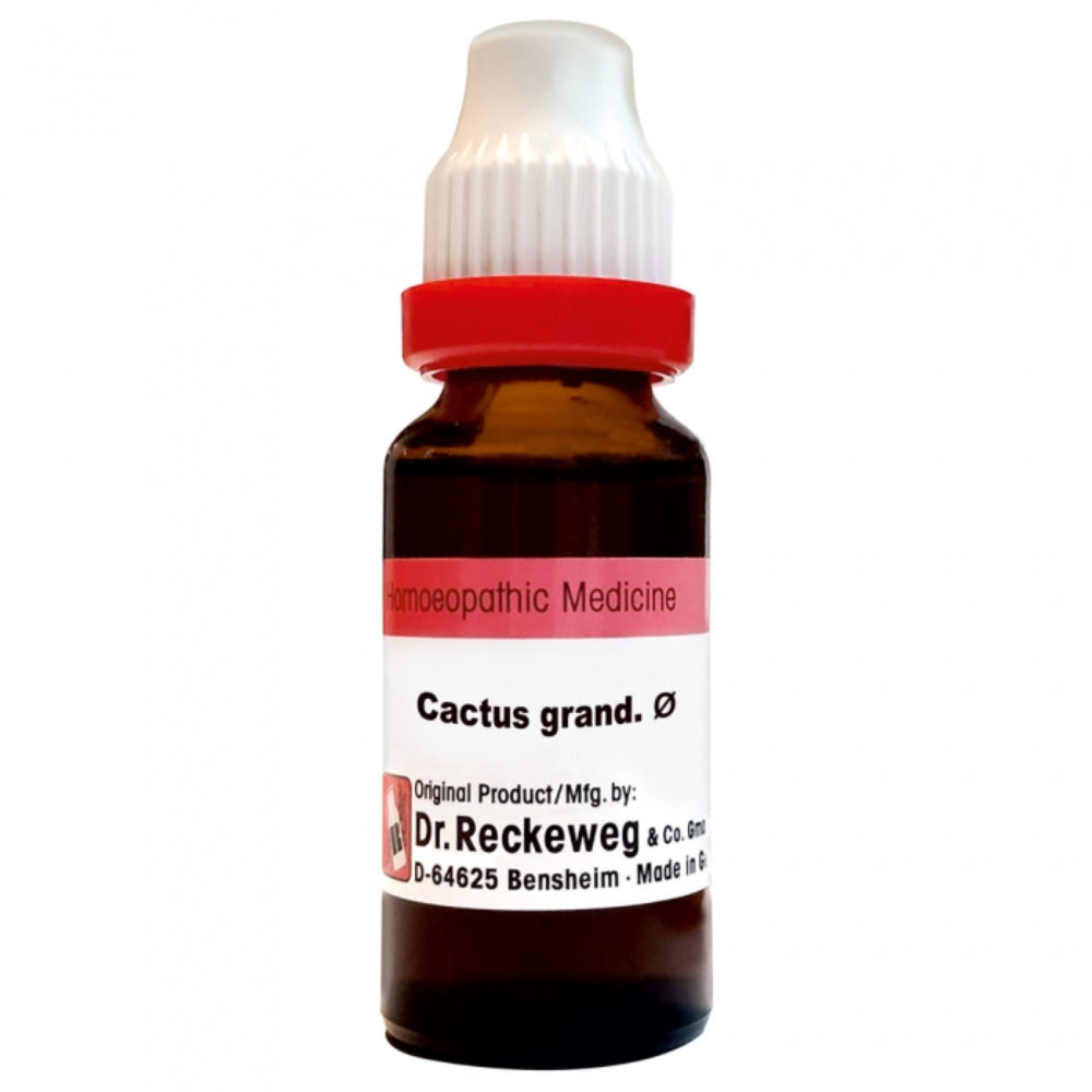 Dr Reckeweg Cactus Grandiflorus Q (20ml)