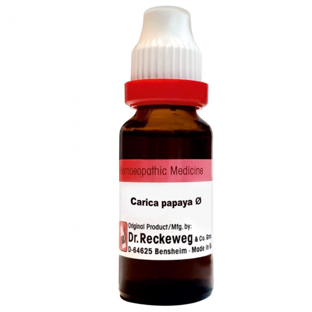 Dr. Reckeweg Carica Papaya Mother Tincture Q (20ml) | Relieves Indigestion, Bloating & Supports Liver Health
