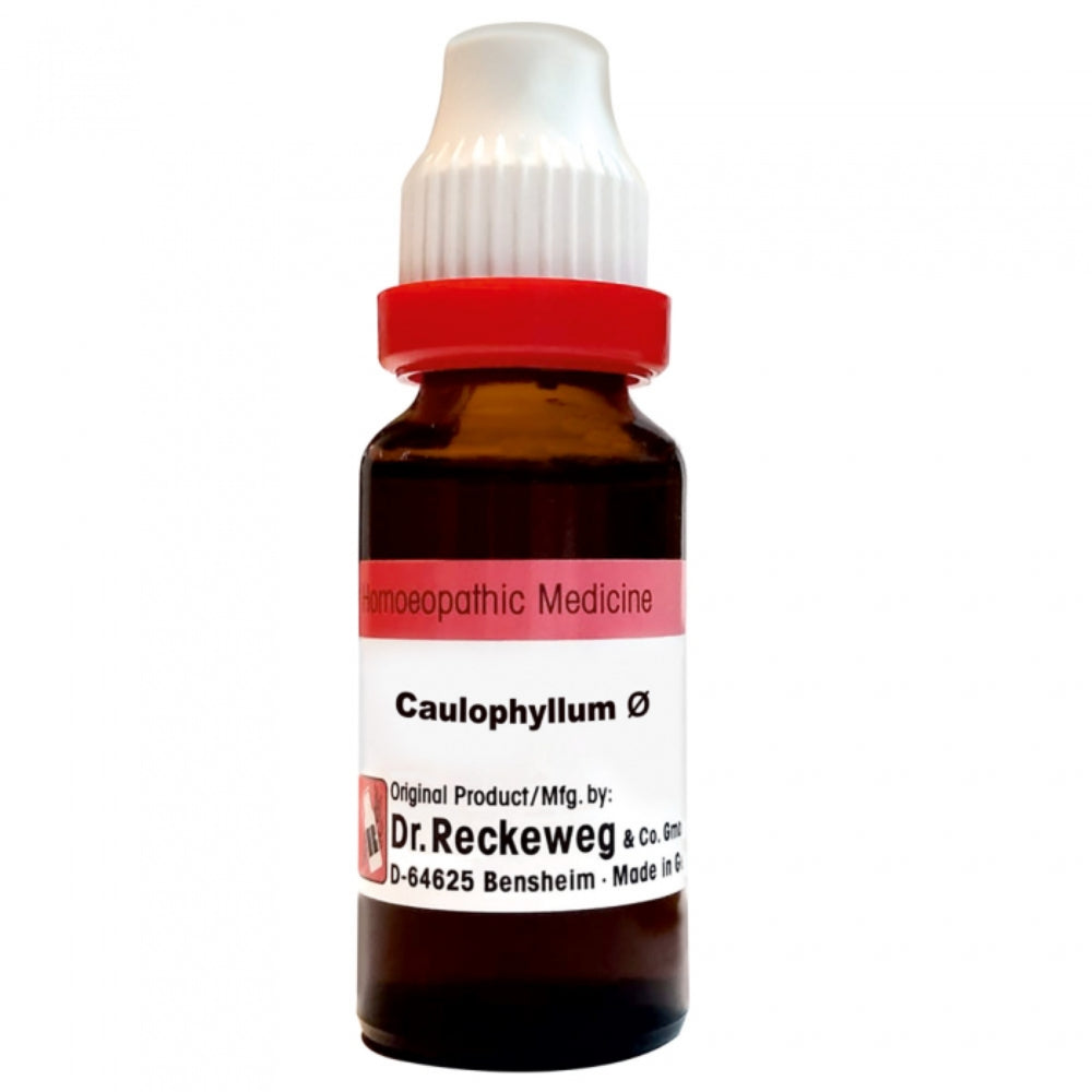 Dr. Reckeweg Caulophyllum Thalictroides Mother Tincture Q (20ml) | Supports Female Health & Small Joint Comfort