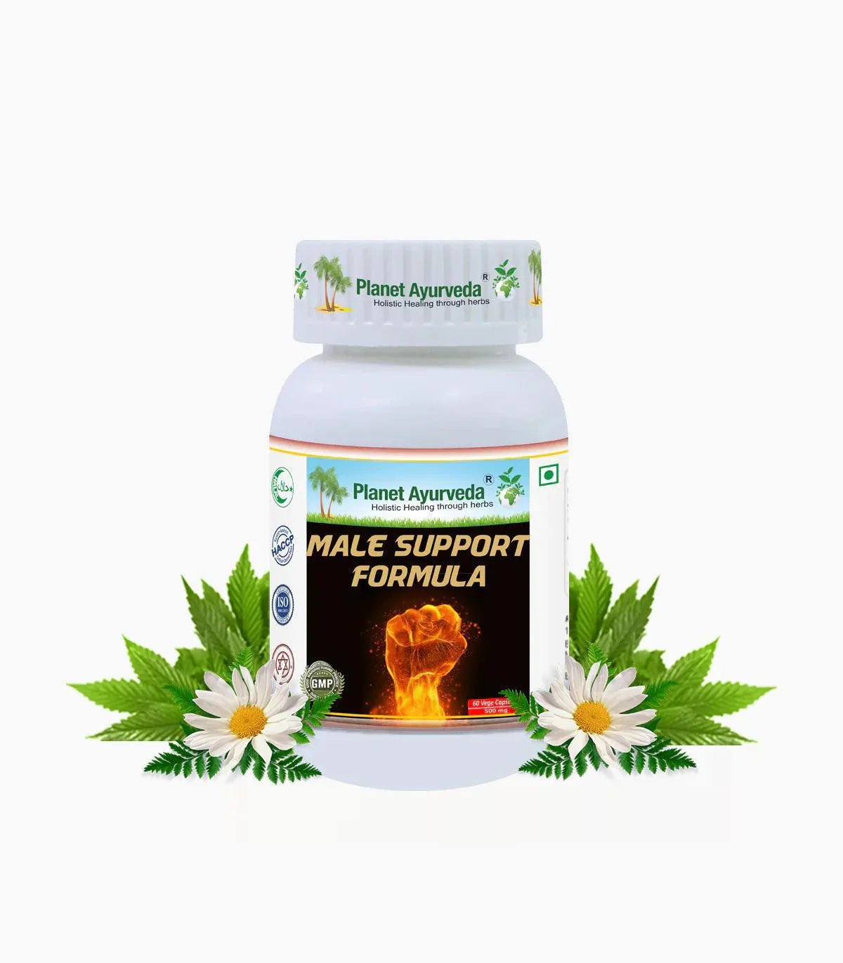 Planet Ayurveda Male Support Formula Capsule - 60 Capsule | Natural Vitality & Stamina
