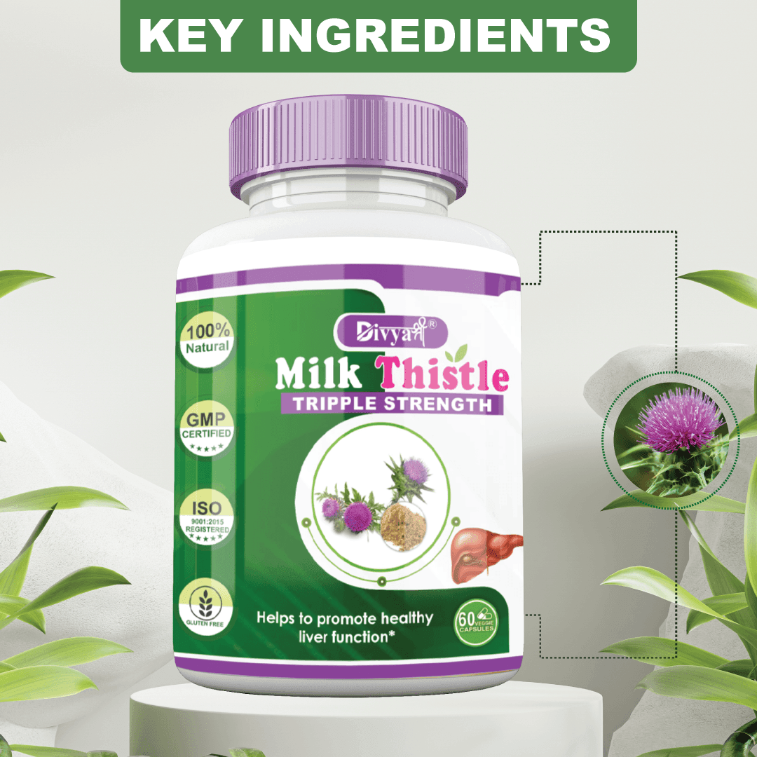 Divya Shree Milk Thistle Capsule - 60 Capsules