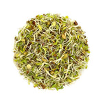 Satopradhan Mix Seeds for Sprouting 200g - A unique & delicious blend of Alfalfa, Clover, Fenugreek & Radish seeds | Organic Sprouting Mix