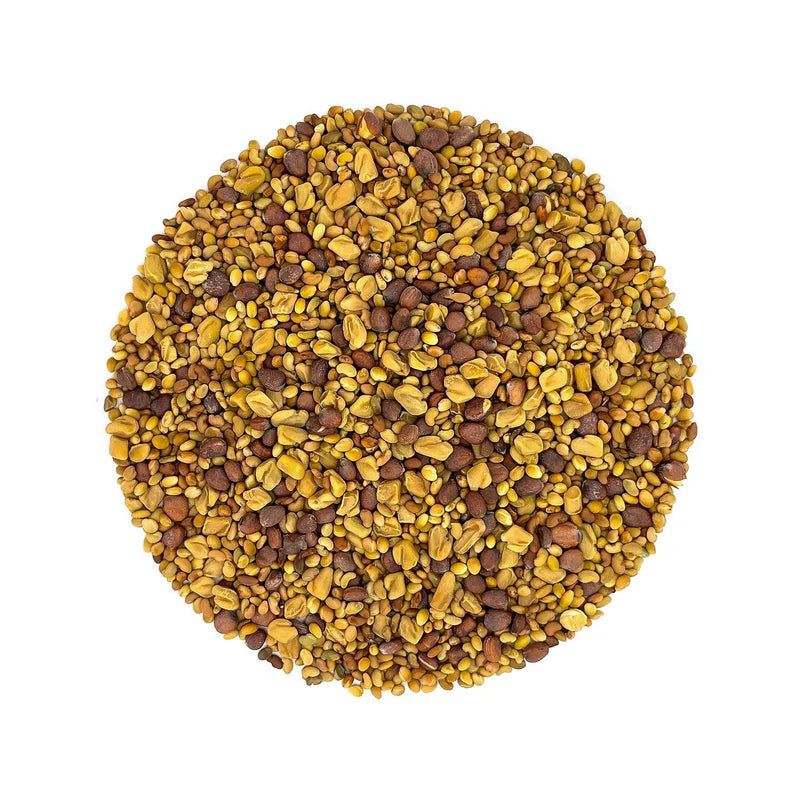 Satopradhan Mix Seeds for Sprouting 200g - A unique & delicious blend of Alfalfa, Clover, Fenugreek & Radish seeds | Organic Sprouting Mix