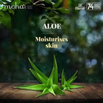 Moha Purifying Neem Basil & Aloe Soap Pack of 6 - Anti Acne Body Bars