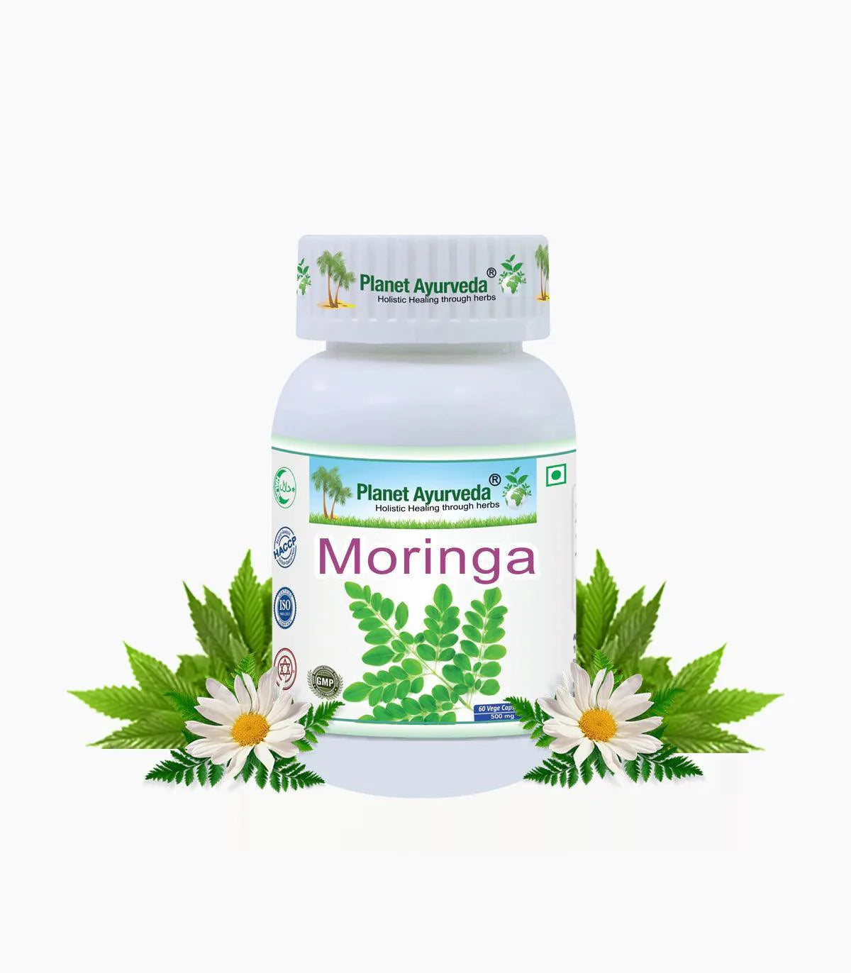 Planet Ayurveda Moringa Vege Capsule - 60 Capsules