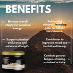 Zenius Shilajit Resin - 20gm Liquid