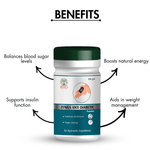 Zenius Anti Diabetic Powder - 100gm Powder