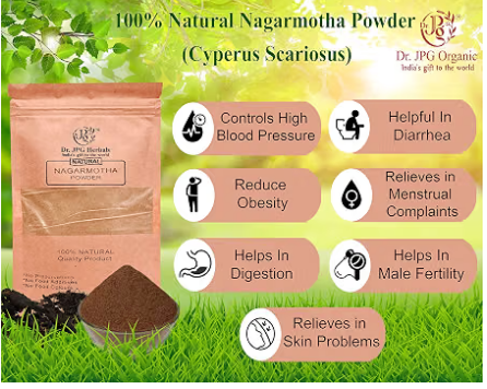 Dr. JPG  Organic  Natural Nagarmotha Powder-100g -Tunga Gaddalu -Cyperus Scariosus-ISO & GMP Certified.. (Pack Of 1)