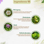 Kairali Neelibringadi Thailam - 200ml