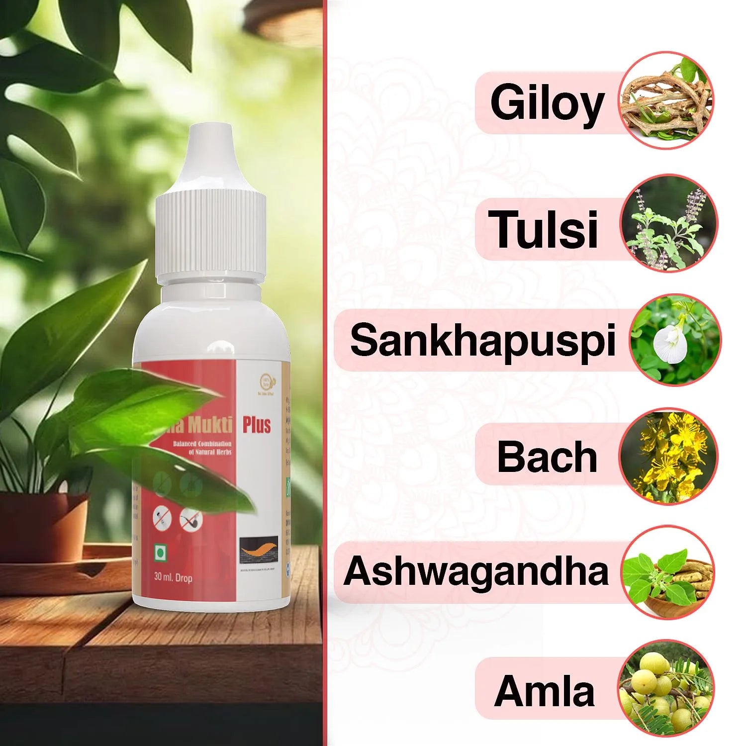 Divyashri Wellness Nasha Mukti Plus Advance | Nasha Chhode Ghar Baithe | Addiction killer | Nasha Mukti Dava |