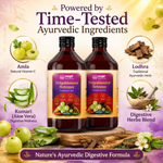 MAPL Trigoldasav Syrup 450ml Pack of 2 | Ayurvedic Digestive Tonic | Gut Health & Metabolism Support