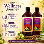 MAPL Trigoldasav Syrup 450ml Pack of 2 | Ayurvedic Digestive Tonic | Gut Health & Metabolism Support