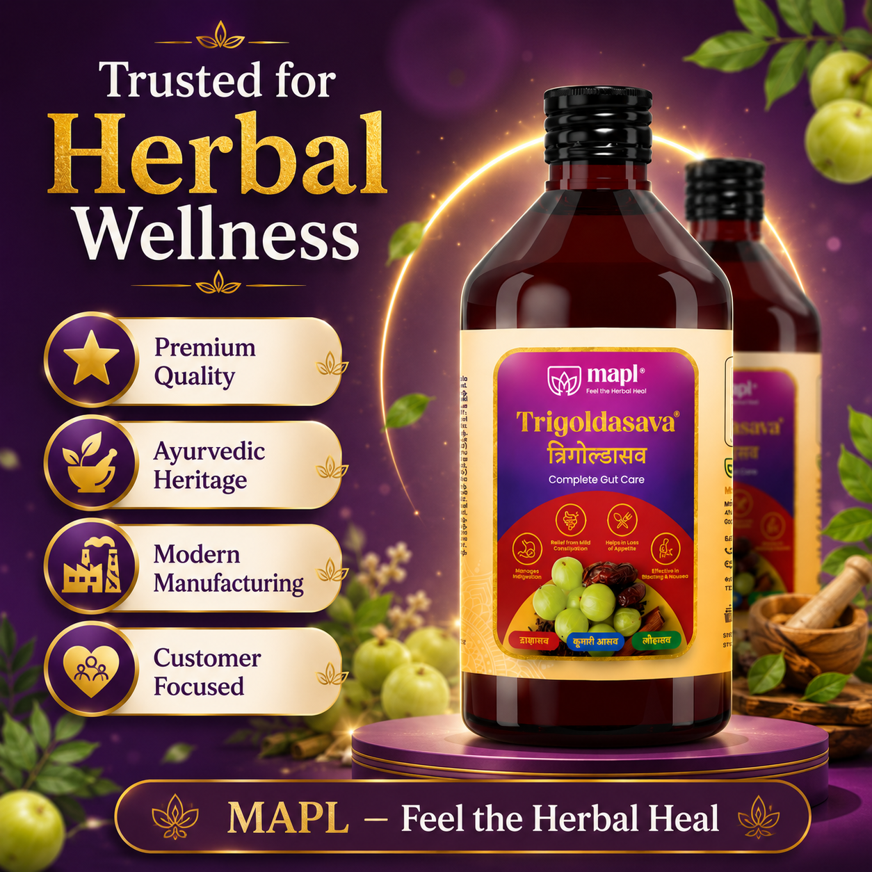 MAPL Trigoldasav Syrup 450ml Pack of 2 | Ayurvedic Digestive Tonic | Gut Health & Metabolism Support