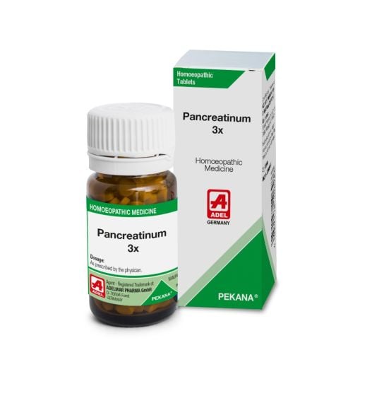 ADEL Pancreatinum Trituration Tablet 3X - Pack of 2