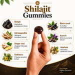 Pure Nutrition Shilajit Gummies – 60 Gummies