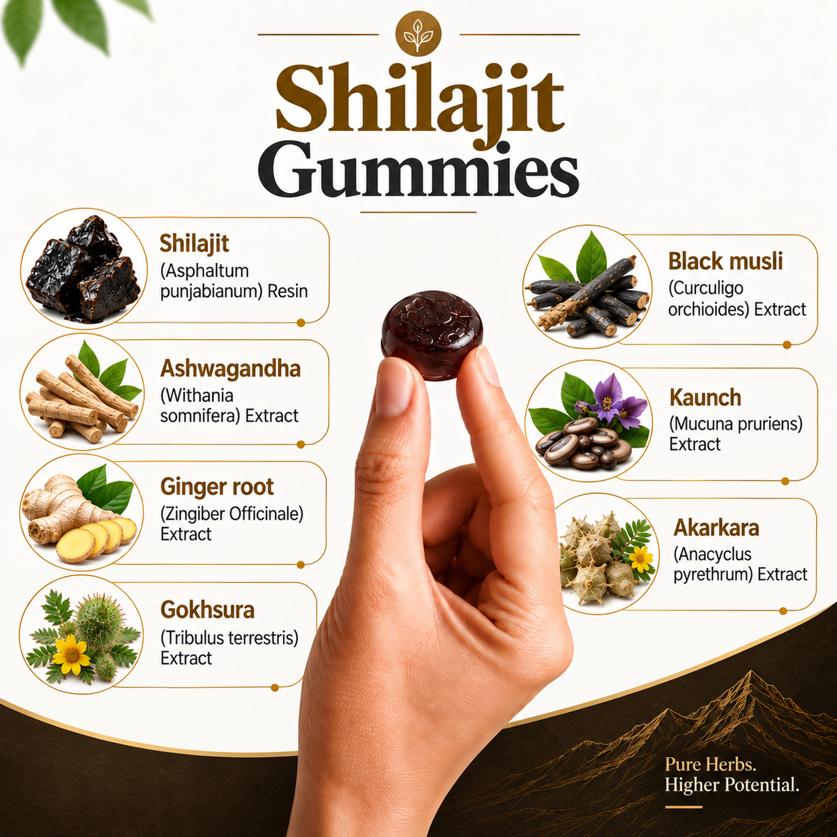 Pure Nutrition Shilajit Gummies – 60 Gummies
