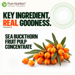 Pure Nutrition Sea Buckthorn Concentrate Juice 500ml | Antioxidant & Wellness Support