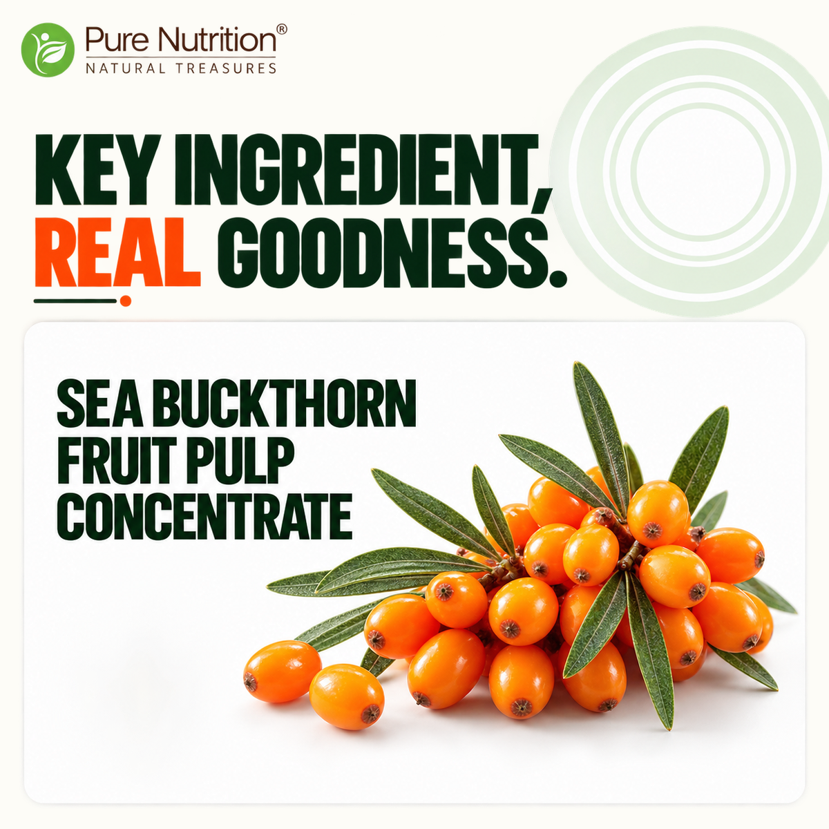 Pure Nutrition Sea Buckthorn Concentrate Juice 500ml | Antioxidant & Wellness Support