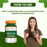 Green Tea Leaf Extract 500mg – 20:1 Concentrate | Antioxidant & Metabolism