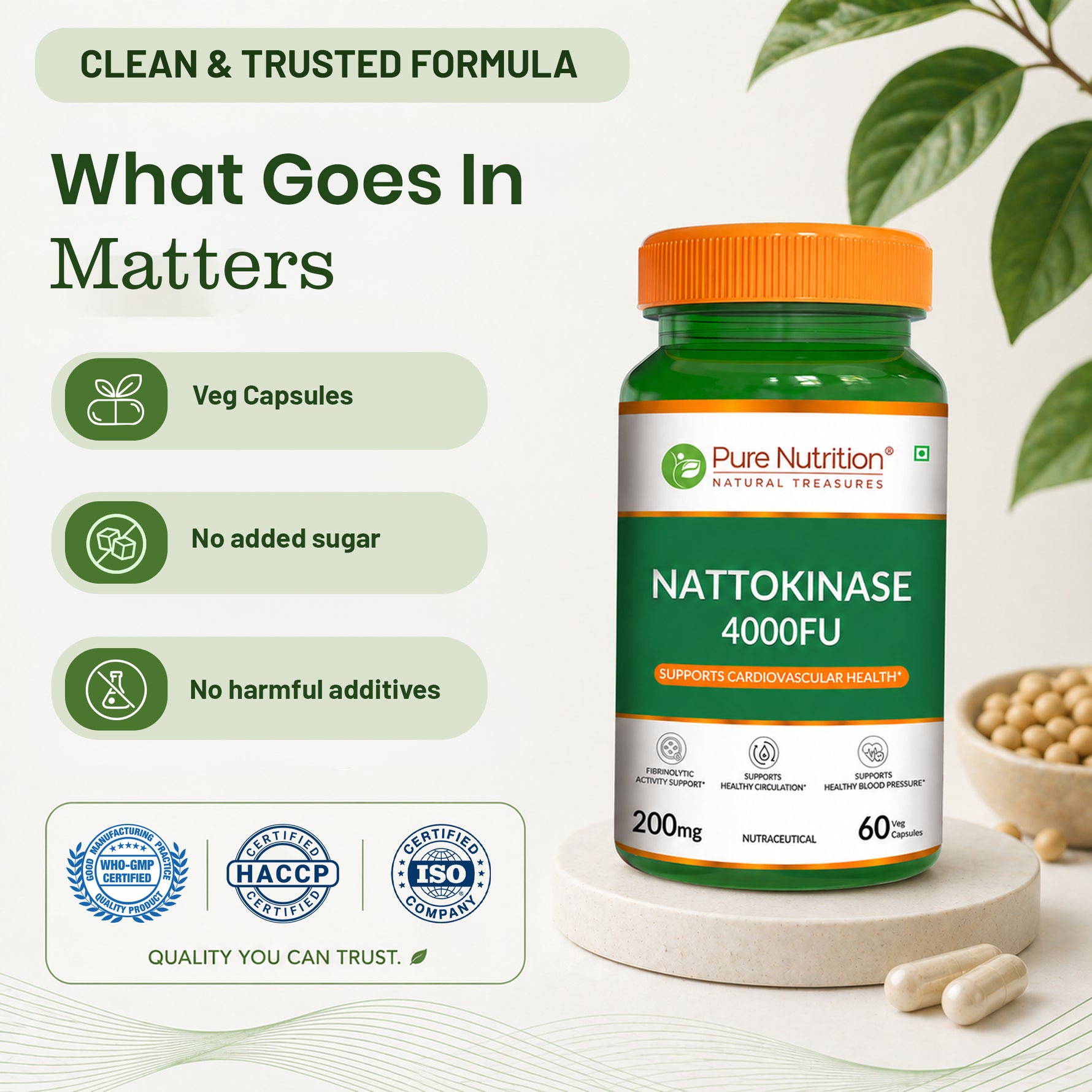 Pure Nutrition Nattokinase 4000 FU 200mg 60 Veg Capsules | Fermented Soy Natto Extract Enzyme | Cardiovascular & Circulation Support Supplement | High Potency Fibrinolytic Formula
