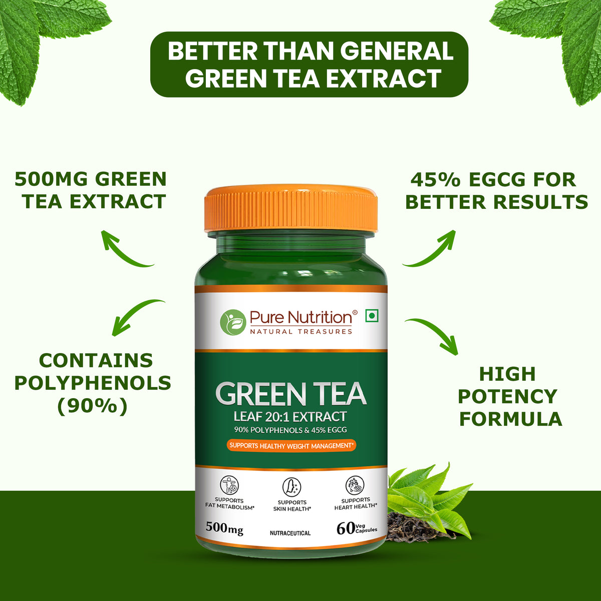 Green Tea Leaf Extract 500mg – 20:1 Concentrate | Antioxidant & Metabolism