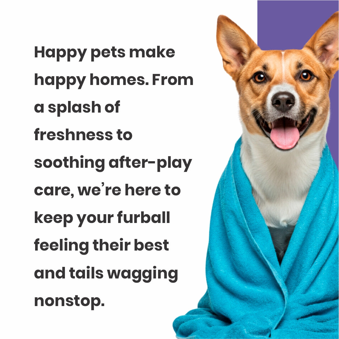 Paw Smooth Pet Toothpaste for Dogs & Cats | Chicken Flavour Toothpaste for Plaque, Tartar & Fresh Breath | Xylitol-Free | 50 g