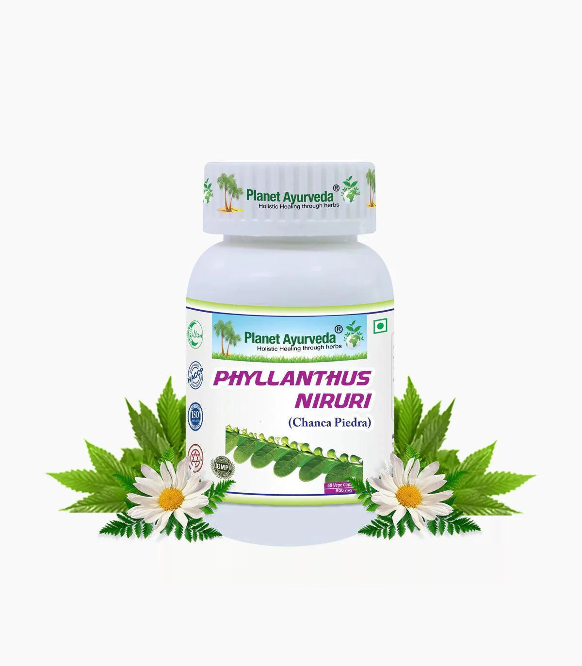 Planet Ayurveda Phyllanthus Niruri Capsule - 60 Capsules