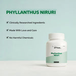 Dr. Satnam's Arogyam Ayurveda Phyllanthus Niruri 500mg Capsule (60 Each)