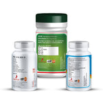 Zenius Piles Care Kit Piles Care and Ayurvedic Hemorroides Medicine