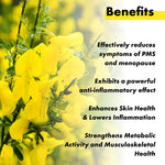 Vitaminnica Evening Primrose 500mg - Hormonal Balance & Skin Support, 60 Capsules