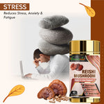 Vitaminnica Reishi Mushroom Capsules - Immune Support & Stress Relief, 60 Count