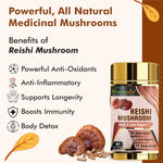 Vitaminnica Reishi Mushroom Capsules - Immune Support & Stress Relief, 60 Count