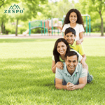 Zespo Quercetin 880 mg (Quercetin Dihydrate) | Antioxidant & Immune Support | 90 Vegan Capsules