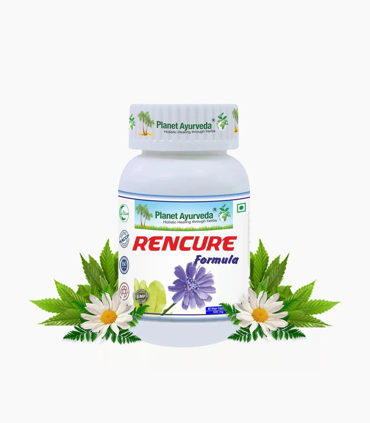 Planet Ayurveda Rencure Formula Capsule - 60 Capsules