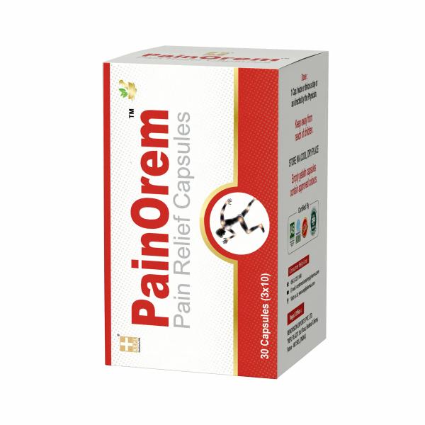 REPL Painorem Capsule - 30 Capsules