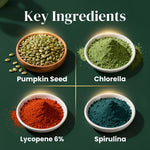 RevaSure - The Transformation Kit I Bloat-Free Plant protein 30 Sachets.