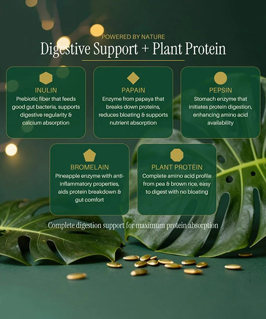 RevaSure - The Transformation Kit I Bloat-Free Plant protein 30 Sachets.
