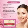 Kayee Ayurveda Rose Water Bath Soap | Rose Water Herbal Soap for Men & Women | Gentle Cleansing Bathing Bar for Daily Use | Refreshing Floral Body Soap for Clean, Soft, Smooth & Refreshed Looking Skin
