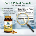 Organic Wellness Giloy Capsules - 90 Capsules