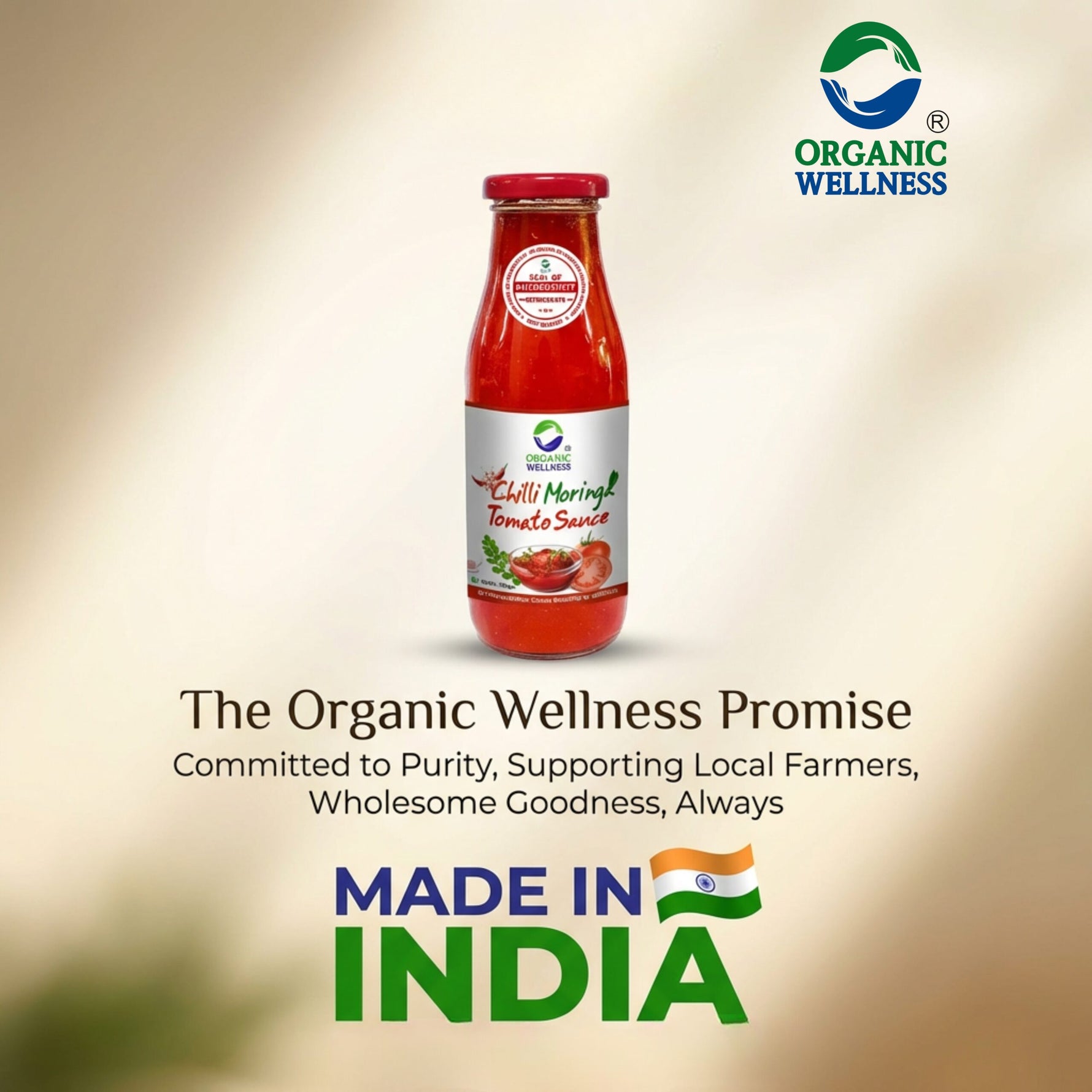 Organic Wellness Chilli Moringa Tomato Sauce - 350g