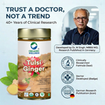 Organic Wellness Tulsi Ginger 100 grams Tin Pack