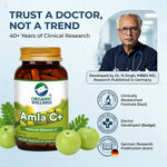 Organic Wellness Amla Capsules - Vitamin C - Antioxidant - 90 Veg Capsules